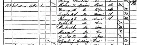 1891-census